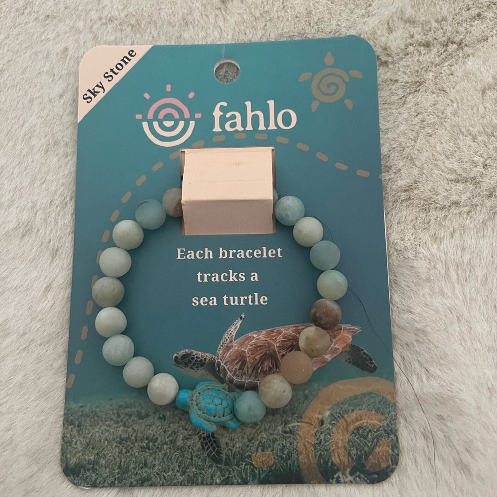 Turtle tracking bracelet
